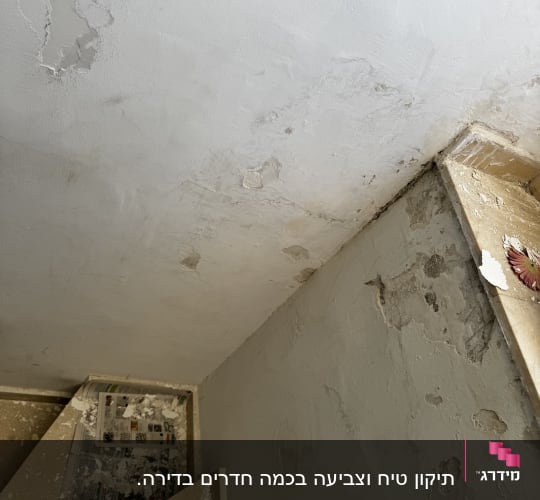 קיר מתקלף עם טיח מתפורר על מדרגות
